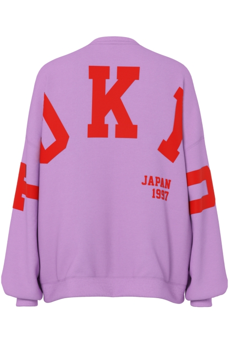 Pieces pcfany ls o-neck oversized sweat jr